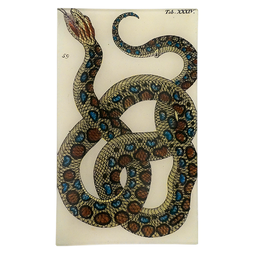 john derian Snake XXXIV 7 x 11.5" Rect. Tray