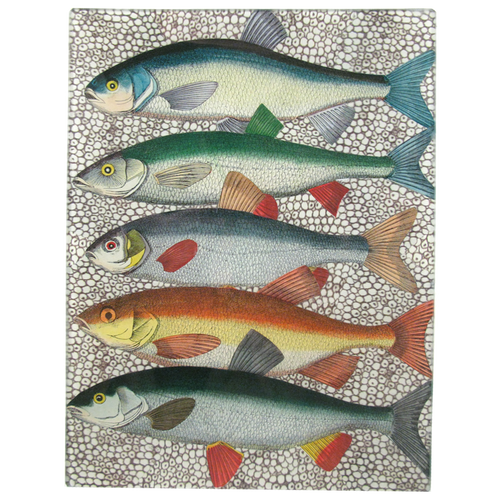 john derian Some Fish 8 x 10.5" Rect. Tray