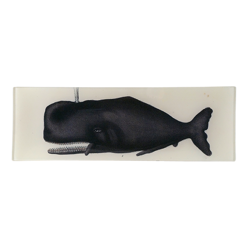 john derian Sperm Whale 4.5 x 12" Rect. Tray