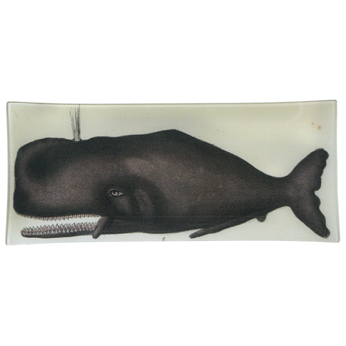 john derian Sperm Whale Extra-Long 7 x 16" Tray