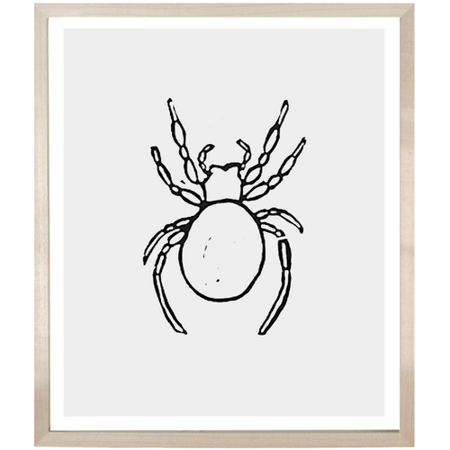john derian Spider 1 10 x 12" Linocut Print