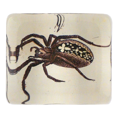 john derian Spider Q. Rectangular Charm