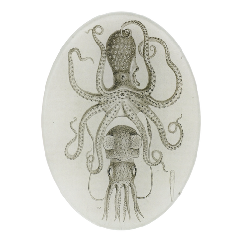 john derian Squid & Octopus 5 x 7" Oval
