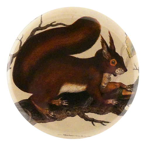 john derian Squirrel Mirror & Pin
