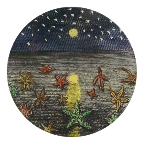 john derian Starfish at Night 5 1/4" Round Plate