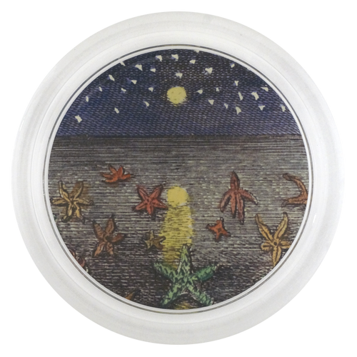 john derian Starfish at Night 6" Coaster