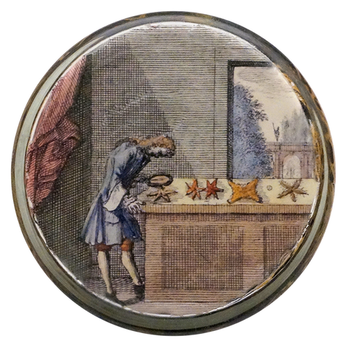 John Derian Starfish At Night Desk Cup