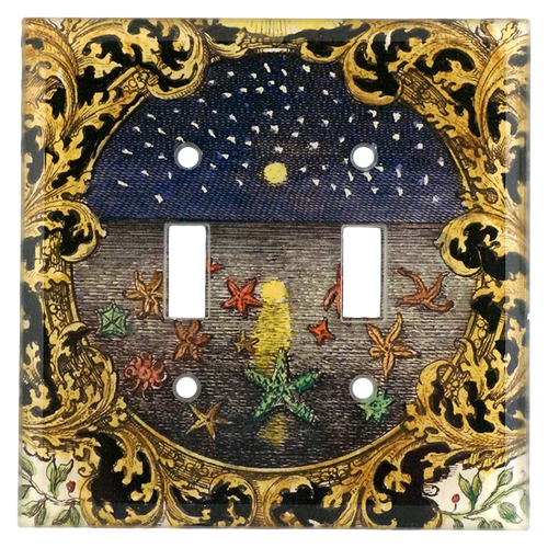 john derian Starfish at Night Double Switch Cover