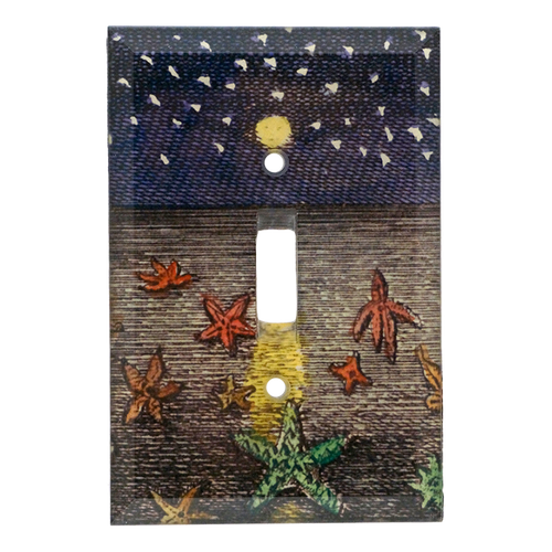 John Derian Starfish At Night Switch Plate Cover