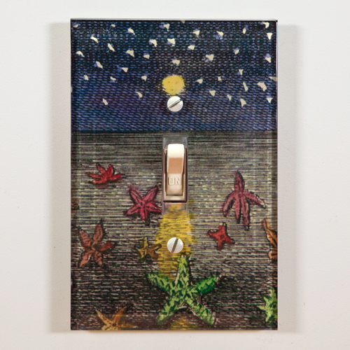 john derian Starfish at Night Switch Plate Cover
