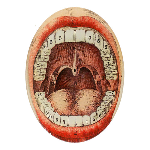 john derian Stephen 5 x 7" Oval