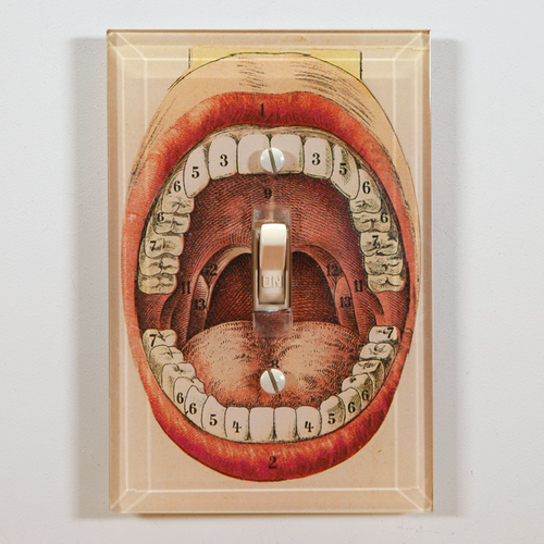 john derian Stephen Switch Plate Cover