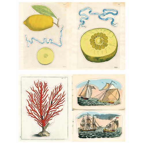 John Derian John Derian Sticker Book II Add To Cart Adapted From John Derian Picture Book II John Derian Sticker Book II Offers A Curated Collection Of Over 700 Stickers That Both Adults And Children Will Adore. There Are Intens