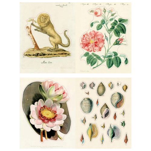 John Derian John Derian Sticker Book II Add To Cart Adapted From John Derian Picture Book II John Derian Sticker Book II Offers A Curated Collection Of Over 700 Stickers That Both Adults And Children Will Adore. There Are Intens