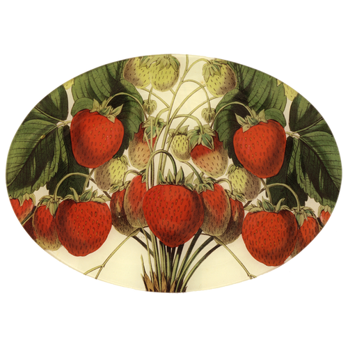 john derian Strawberries 10 x 14" Oval