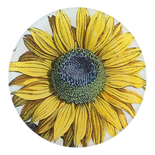 john derian Sunflower 5 1/4" Round Plate