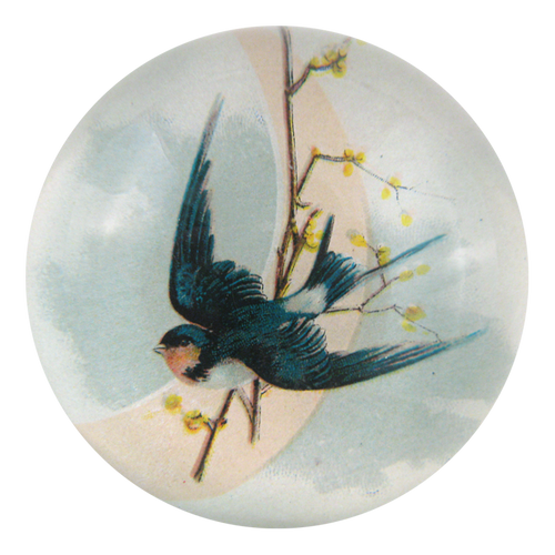 john derian Swallow on the Moon Dome Paperweight