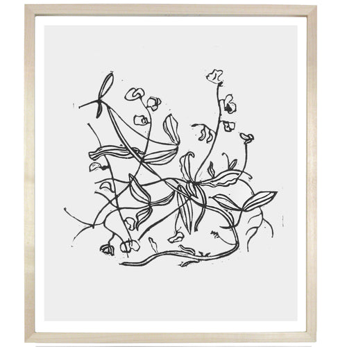 john derian Sweet Pea 12 x 14" Linocut Print