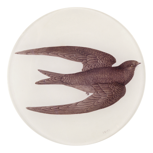 john derian Swift Bird (Swallow) 5 1/4" Round Plate
