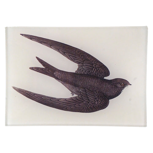 john derian Swift (New) 4.5 x 6.5" Mini-Tray