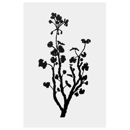 john derian Tall Geranium 15 x 22" Linocut Print