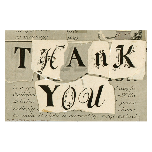 john derian Thank You Postcard (Pack of 10)