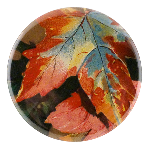 john derian Thanksgiving Leaves Mirror & Pin
