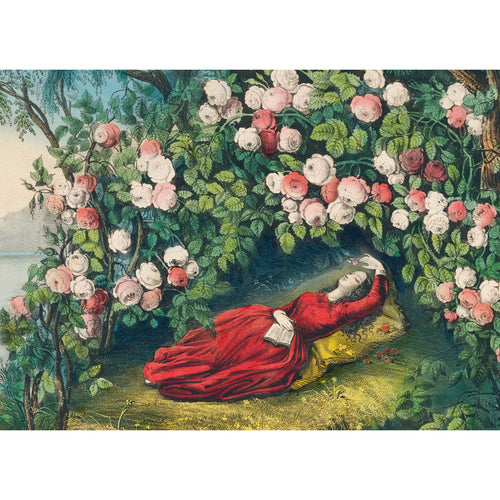 John Derian The Bower Of Roses 1 000-Piece Puzzle