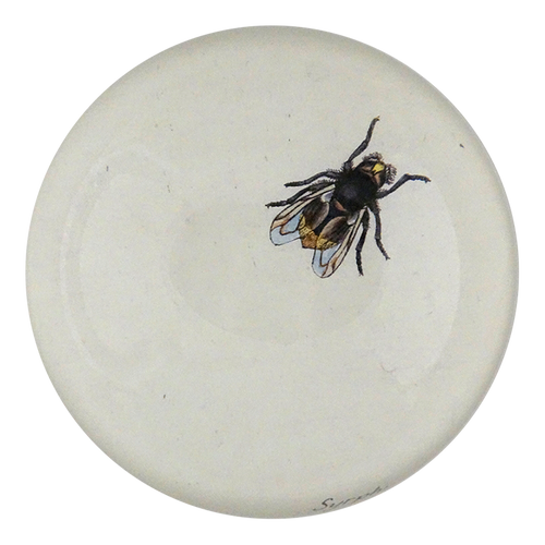 john derian The Fly Dome Paperweight