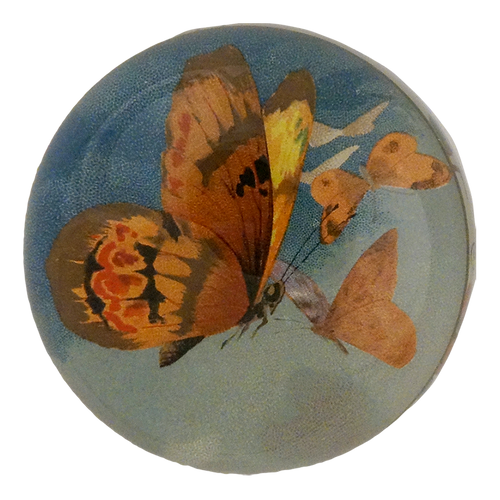 john derian The Golden Butterfly Dome Paperweight