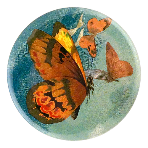 john derian The Golden Butterfly Mirror & Pin