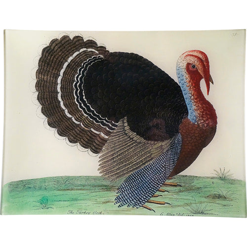 john derian The Turkey 10 x 13" Rect. Tray