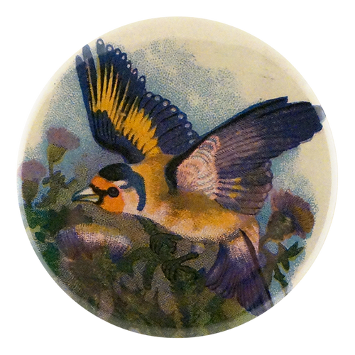john derian Thistle Bird Mirror & Pin