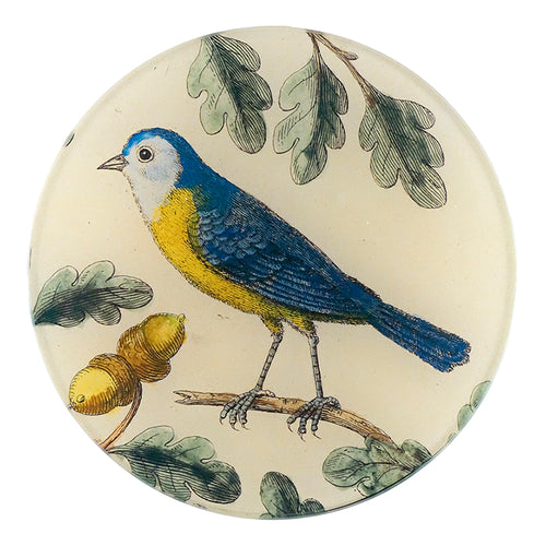 john derian Titmouse 5 1/4" Round Plate