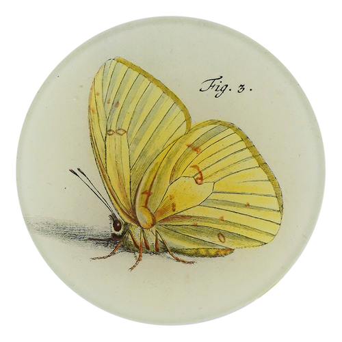 john derian Tom Fig. 3 4" Round Plate