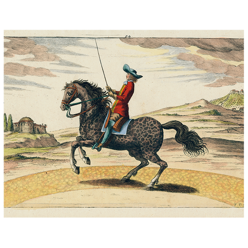 john derian Trainer (p 88) 11" x 14" Rect. Tray