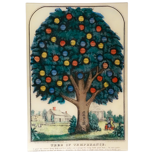 john derian Tree of Temperance 15 x 22" Rect. Tray
