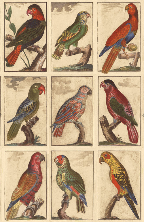 John Derian Tropical Birds - Parchment Wallpaper