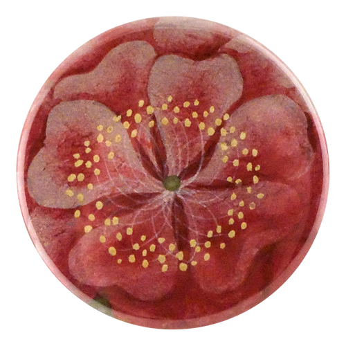 john derian Tropical Rose Mirror & Pin