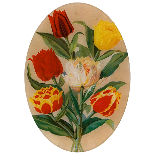 john derian Tulip Bouquet 10 x 14" Oval