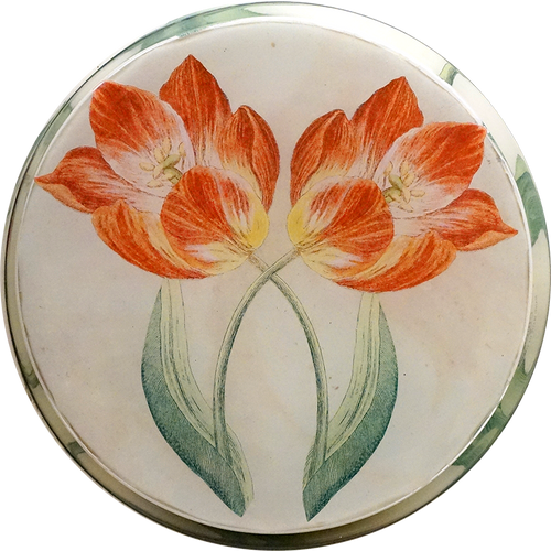 John Derian Tulips 16" Cylinder Vase W/ Liner