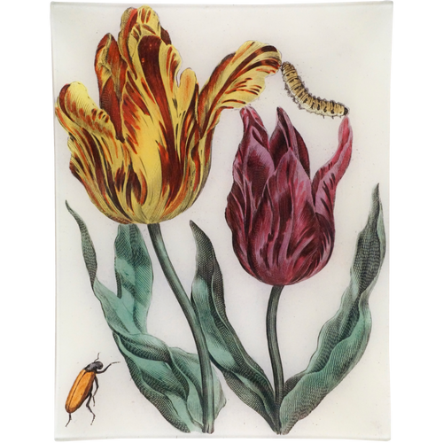 john derian Tulips & Bugs 10 x 13" Rect. Tray