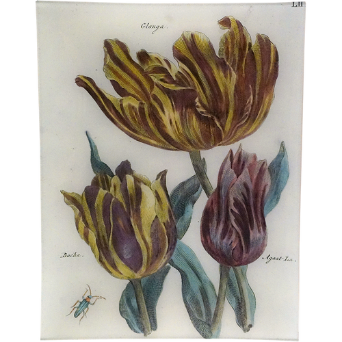 john derian Tulips LII 10" x 13" Rect. Tray