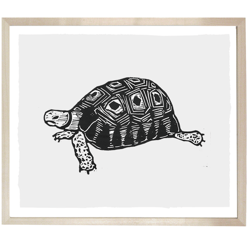john derian Turtle 10 x 12" Linocut Print