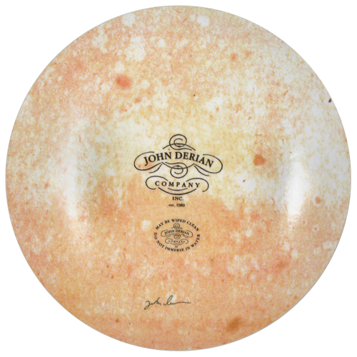 John Derian Variegated Camellia 11" Round Plate