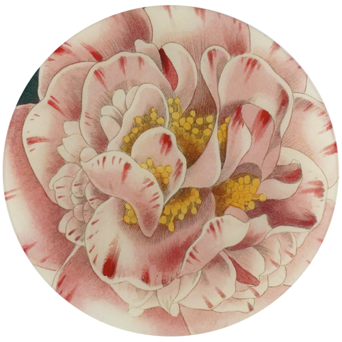 john derian Variegated Camellia 11" Round Plate