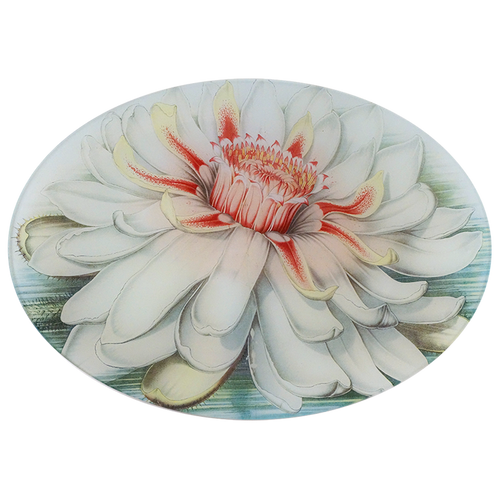 john derian Victoria Lily 10 x 14" Oval