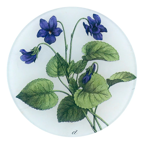 john derian Violets 5 1/4" Round Plate