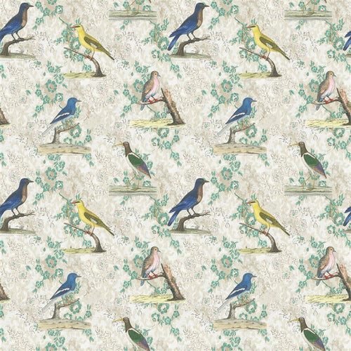 john derian Wallpaper Birds Parchment Fabric