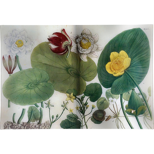 john derian Water Lilies 15 x 22" Rect. Tray